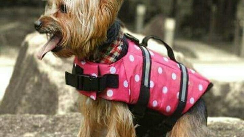 螺杆冷水机选型：优缺点解析与决策要点