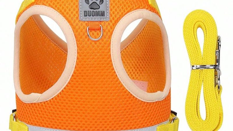 上海大型冷库工程招投标：关键因素与选型要点