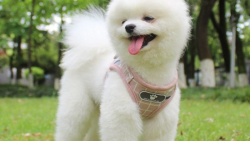 中央空调一拖三，如何选择厂家直供的优质产品？**